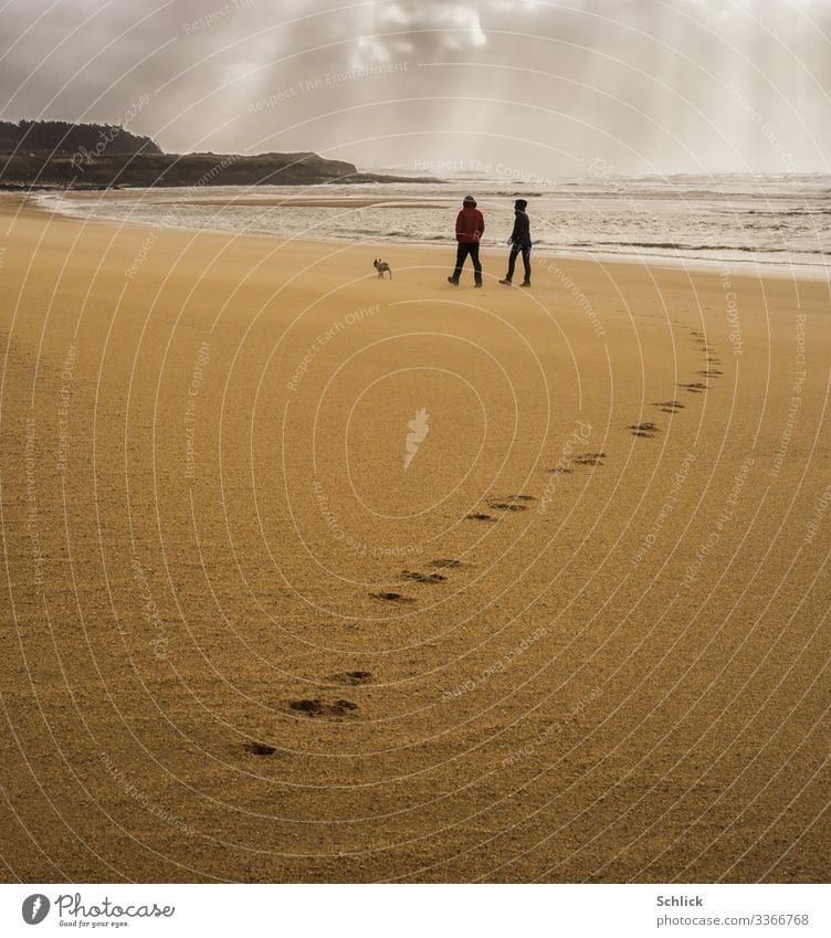 Couple with dog on a sandy beach in Brittany with stormy sky and footprints in the sand Human being Masculine Feminine Young woman Youth (Young adults)