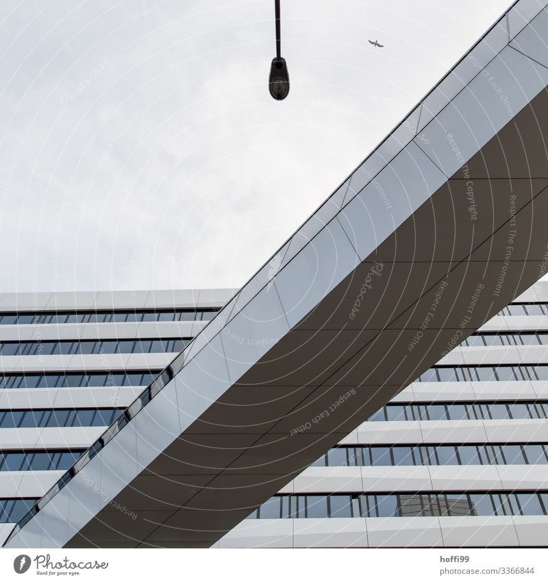 urban still life Seagull Bridge Architecture Building Town Vantage point Connection Intersection Street lighting diagonal Sky