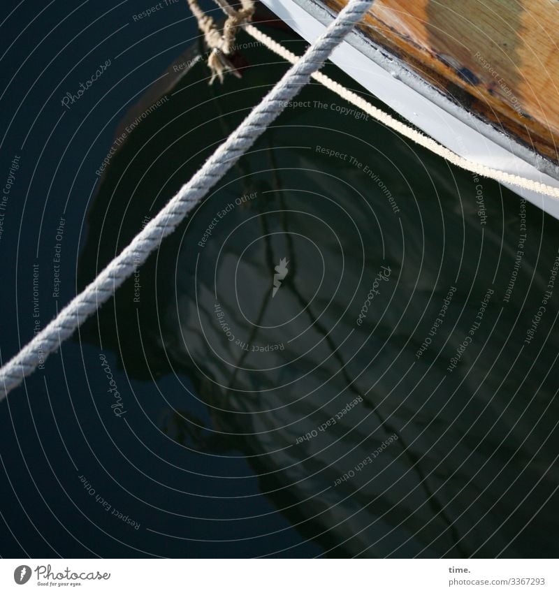 no escape | rope team vivacious Beautiful weather Rope Water silent Maritime Wet boat shipping reflection Harbour Drop anchor moored Baltic Sea Sunlight Wood