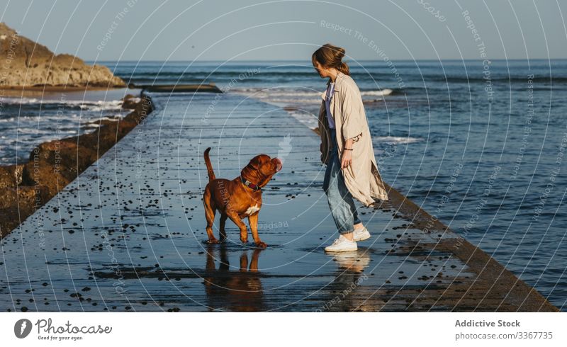 Woman with dog walking along wet pier against calm sea water and rocky coast in sunny day woman companion fresh pet ocean spain tranquil mastiff owner beach