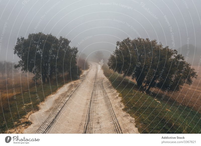 Dramatic landscape of misty morning in countryside dramatic road rural lead hazy scenery mysterious nature tree autumn travel season way journey field