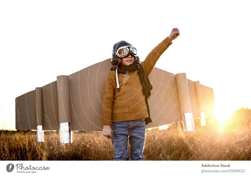 Cheerful little boy playing aviator game in countryside dream kid goggles wing cardboard child male costume son childhood imagination pilot inspiration