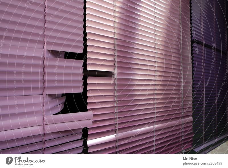 Venetian blind Venetian blinds Window Closed Roller shutter Roller blind Disk Slat blinds Broken Pink Violet purple Dark Living or residing stay at home