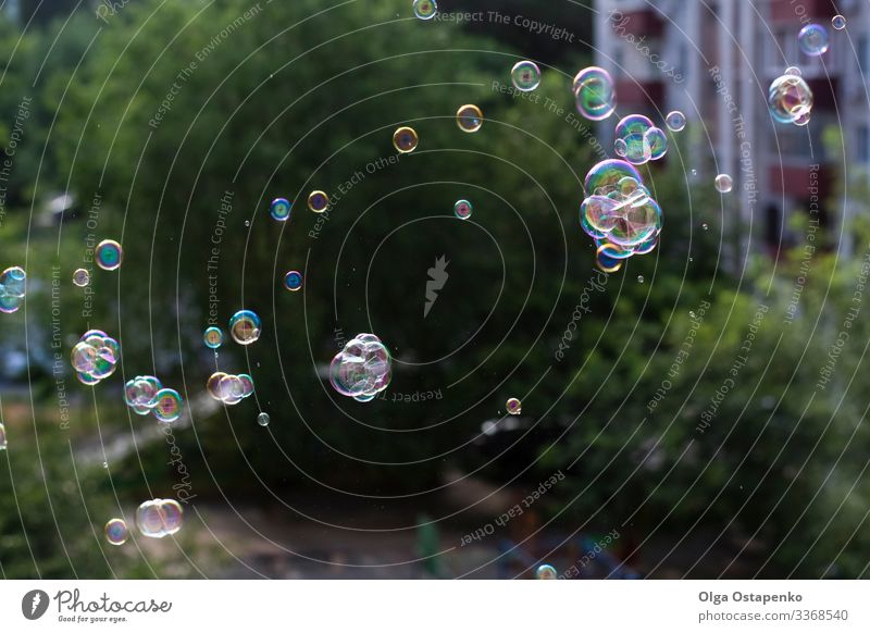 blow bubbles out of the window Window Air bubble Flying Joy Light (Natural Phenomenon) Bright Glittering Round Beautiful Close-up Soap Soap suds closed Playing