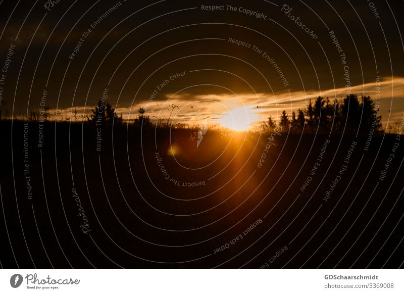 Sunset Landscape Sky Clouds Sunrise Sunlight Warmth Tree Field Hill Fantastic Infinity Natural Positive Beautiful Brown Orange Black Moody Happy