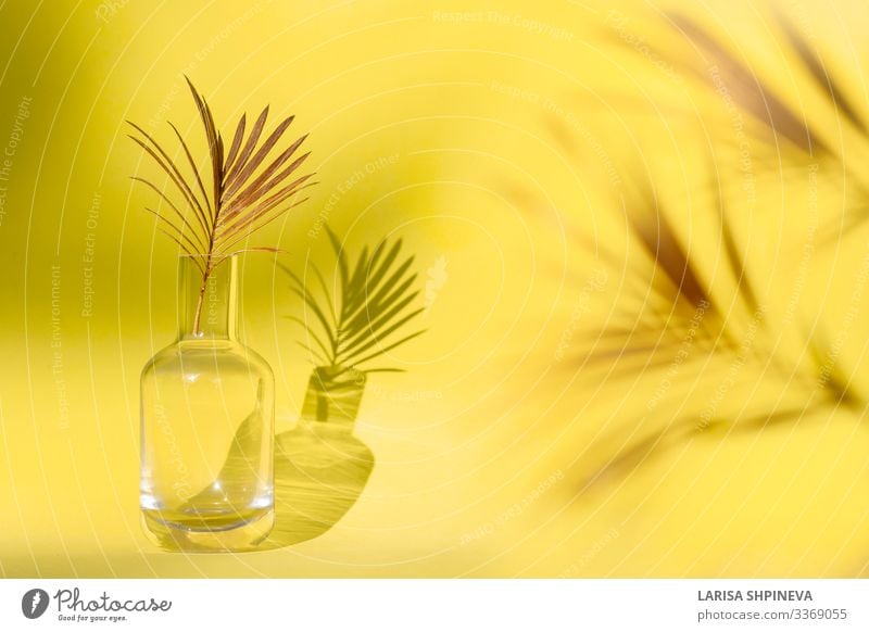 Golden palm leaf in glass vase on yellow background. Elegant Style Design Exotic Beautiful Summer Decoration Table Wallpaper Nature Plant Tree Flower Leaf