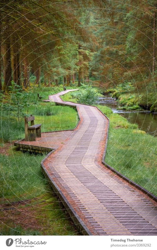 Hafren Forest Path Tourism Adventure Lanes & trails Dark Llanidloes Mid-Wales alongside stream ancient market beautiful path Bench calm forest follow path