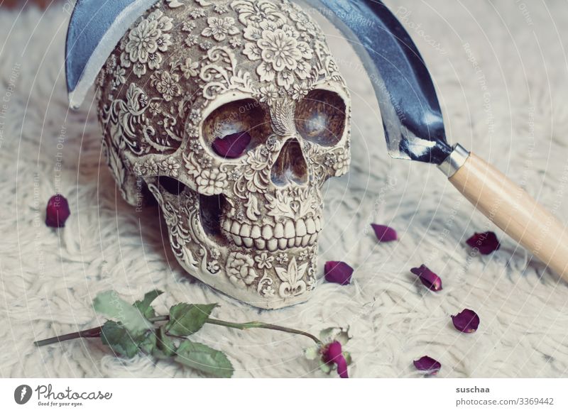 skull with sickle and rose leaves on flokati Death's head Skeleton Creepy Force policy Revolution Photochallenge Eerie Hallowe'en Weapon Tool tart peak Harm