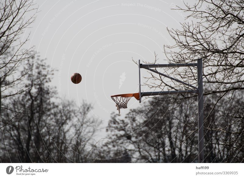 Ball & Basket Ball sports Basketball Sporting Complex Nature Sky Autumn Winter Bad weather Fog Rain Tree Park Basketball basket Touch Movement Throw Esthetic