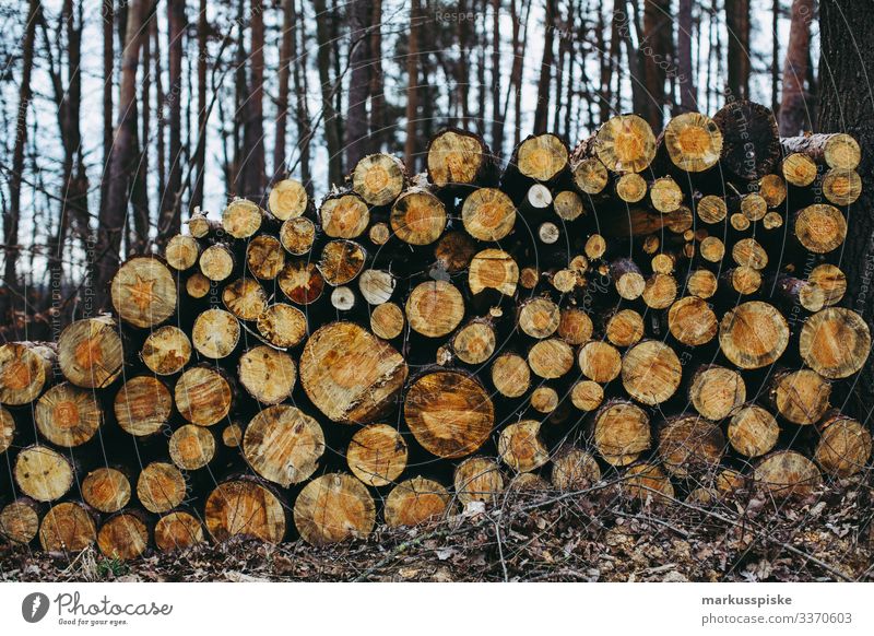 Stack of firewood Forestry Wood Stack of wood log forestry wood processing Firewood