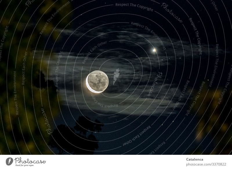 crescent moon Nature Night Moon Sky Clouds Moonlight Light Night sky Moody stars Illuminate shine Tree Green Blue