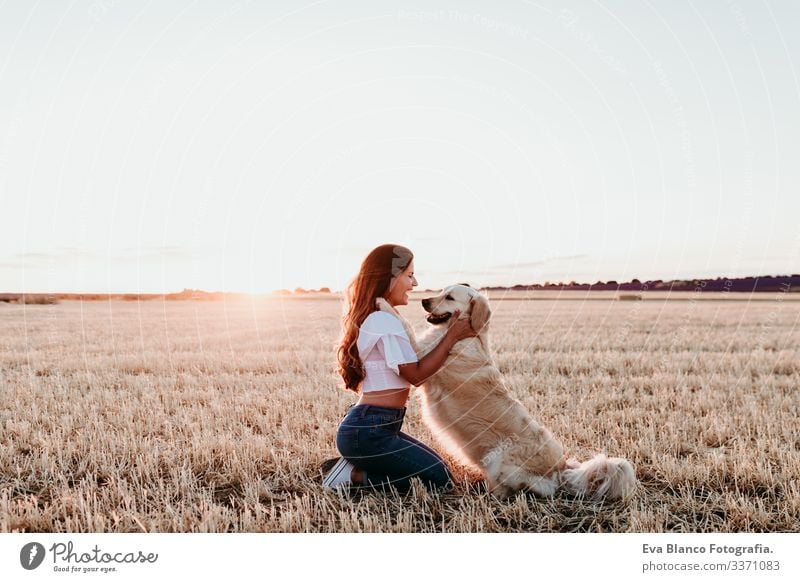 young woman in a yellow field with her golden retriever dog at sunset. Pets outdoors pet countryside walking lifestyle pink happy training friendship park