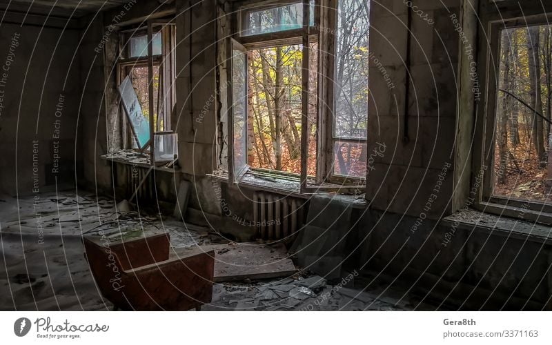 chair in the room of an old ruined abandoned house in Chernobyl House (Residential Structure) Furniture Chair Nature Plant Sky Clouds Autumn Tree Forest Ruin