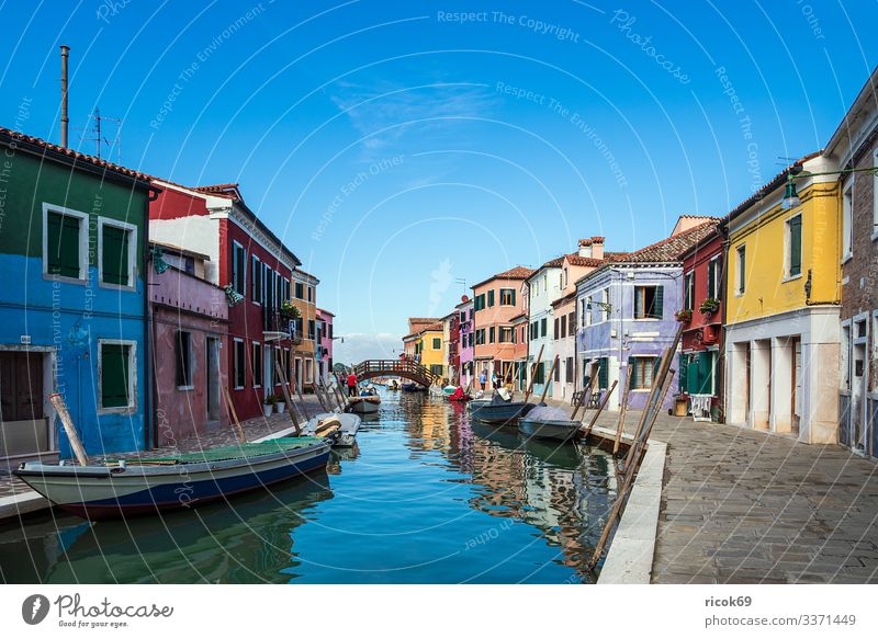 Colourful buildings on the island of Burano near Venice, Italy Relaxation Vacation & Travel Tourism Island House (Residential Structure) Water Clouds Tree Town