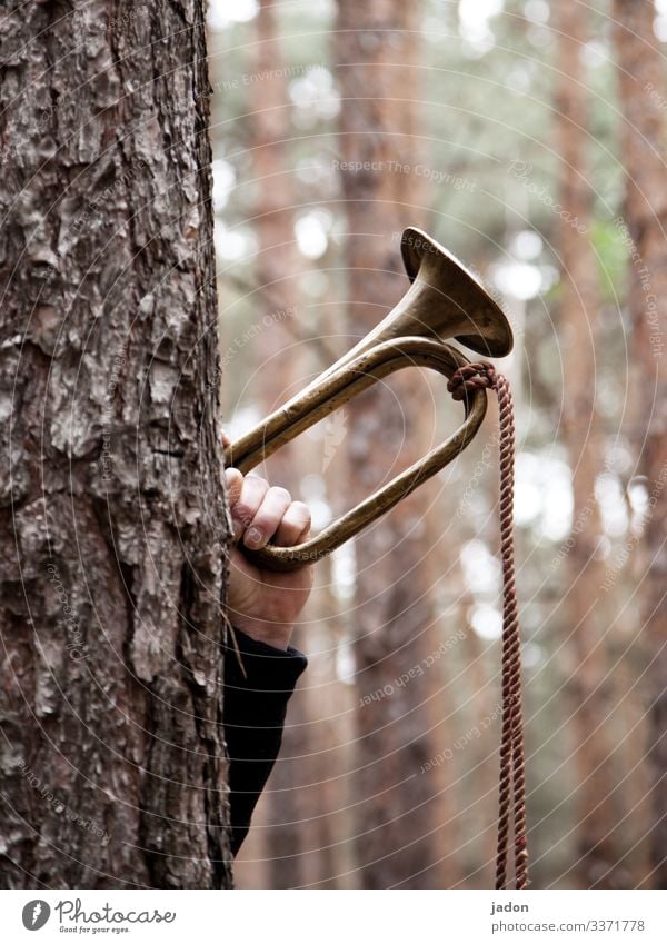 the forest calls. Tree trunk fanfare Forest Green Tree bark wind instrument Winds Hand Nature Exterior shot Day Rope Sound call sign