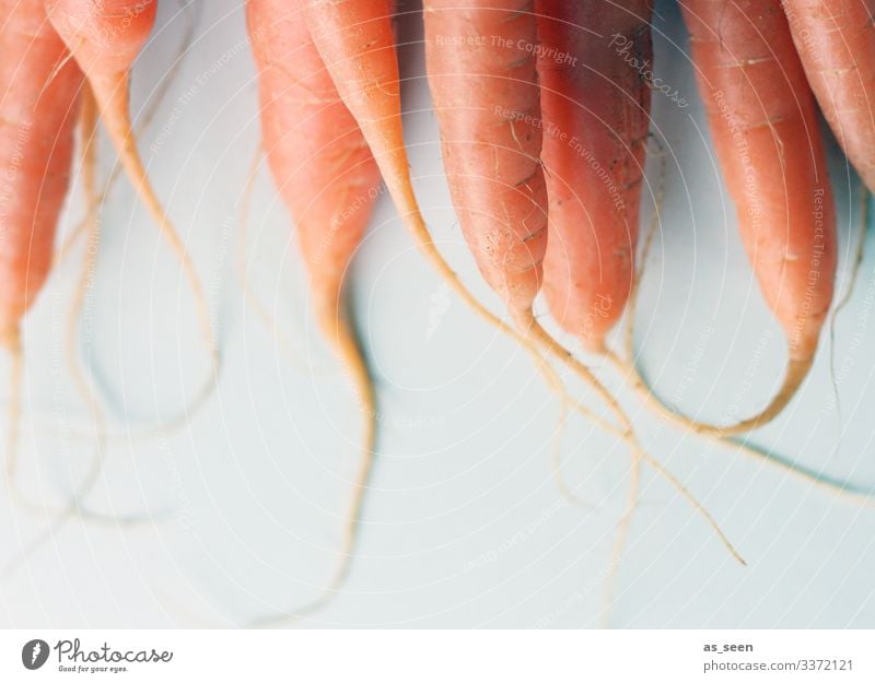 carrot carrots carrot juice Vegetable Nutrition Vegetarian diet Healthy Food Colour photo Organic produce Fresh Delicious Interior shot Diet Eating Vegan diet