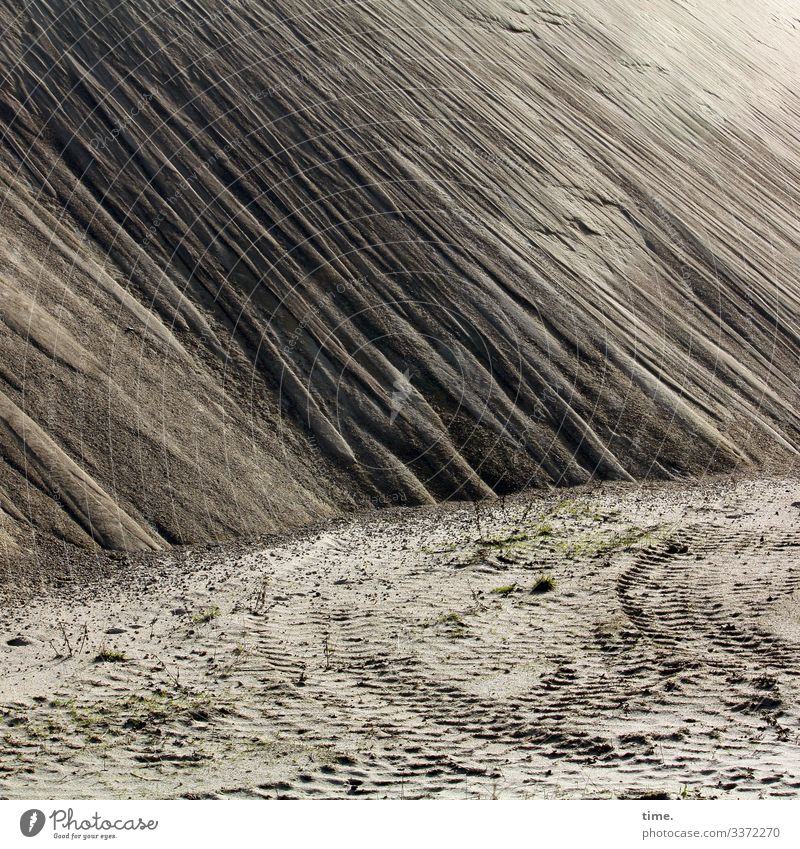 Holstein desert (III) Mysterious lines Environment Landscape Hill Beautiful weather Sand Sandheap Together Inspiration Perspective Material Storage area