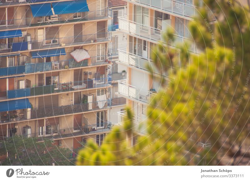 View of high-rise building in Marseille Sunlight Light Copy Space top Colour photo Deserted Day City life tree Vantage point Travel photography Exterior shot