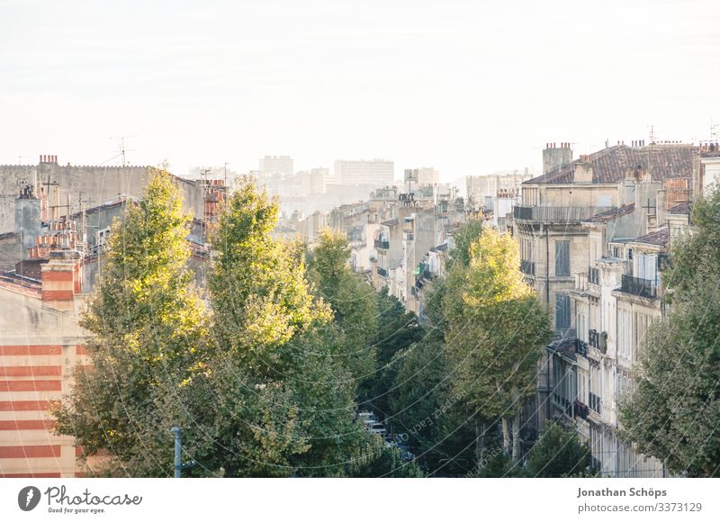 View over the roofs of Marseille Sunlight Light Copy Space top Panorama (View) Colour photo Deserted Day Roof City life tree Vantage point Travel photography