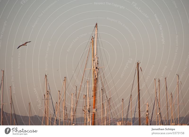 Sailboats quiet in the harbour Light Copy Space top Deserted Exterior shot Colour photo To enjoy Relaxation Pole Travel photography Vacation & Travel Watercraft