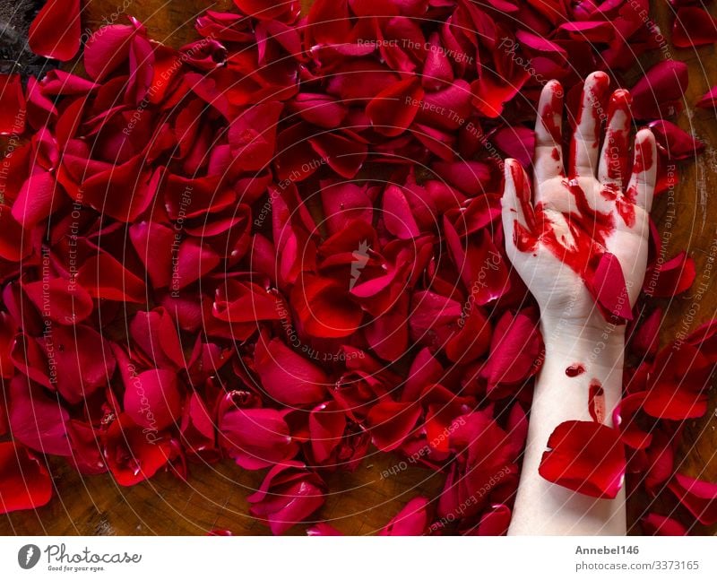 Human hand covered in blood lies in red rose petals Life Human being Man Adults Hand Fingers Earth Fog Flower Leaf Drop Love Dirty Dark Green Red Black Romance