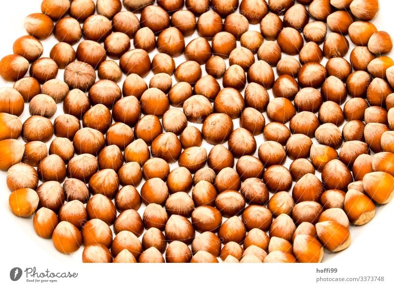 well sorted hazelnuts in a round bowl Hazelnut Detail Detail of the hazelnut Arranged round pattern white background many nuts many hazelnuts