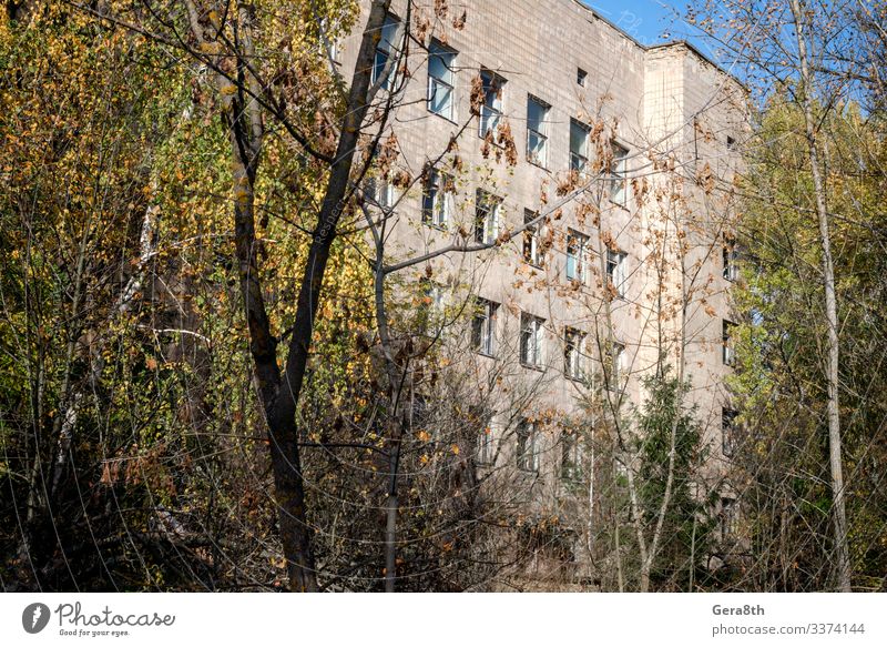 hospital in an abandoned infected city of Chernobyl Medication Vacation & Travel Tourism Trip Hospital Plant Autumn Tree Building Threat Disaster