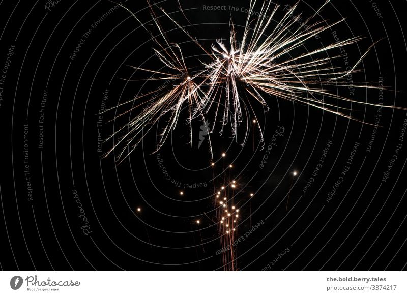 fireworks New Year's Eve Observe Looking Fantastic Positive Yellow Black Moody Joy Happiness Joie de vivre (Vitality) Enthusiasm Together Curiosity Beginning