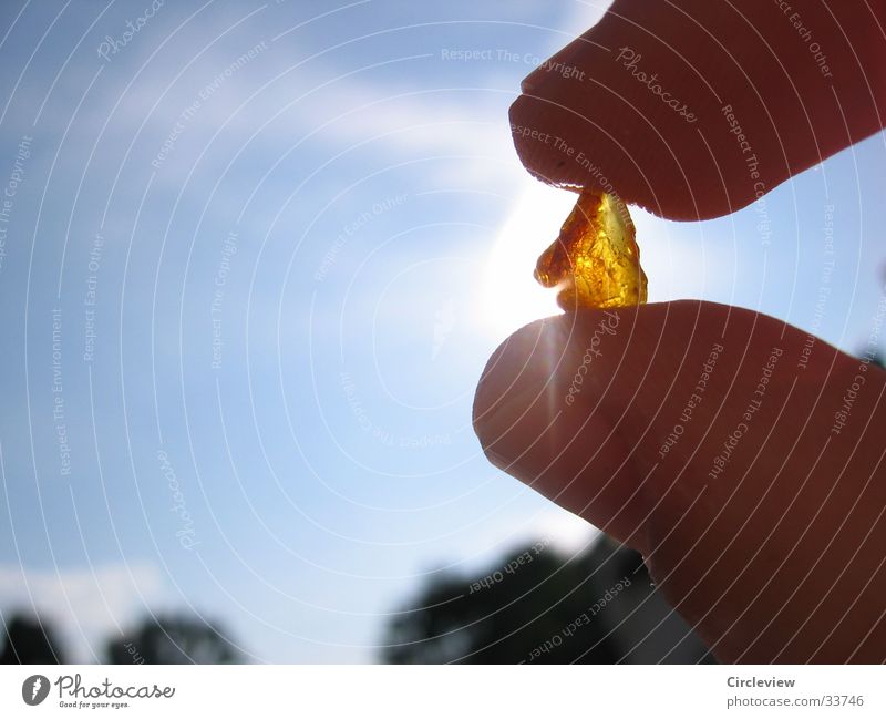 Amber find at the Baltic Sea Beach Europe Sun Close-up Reflection Detail Sky