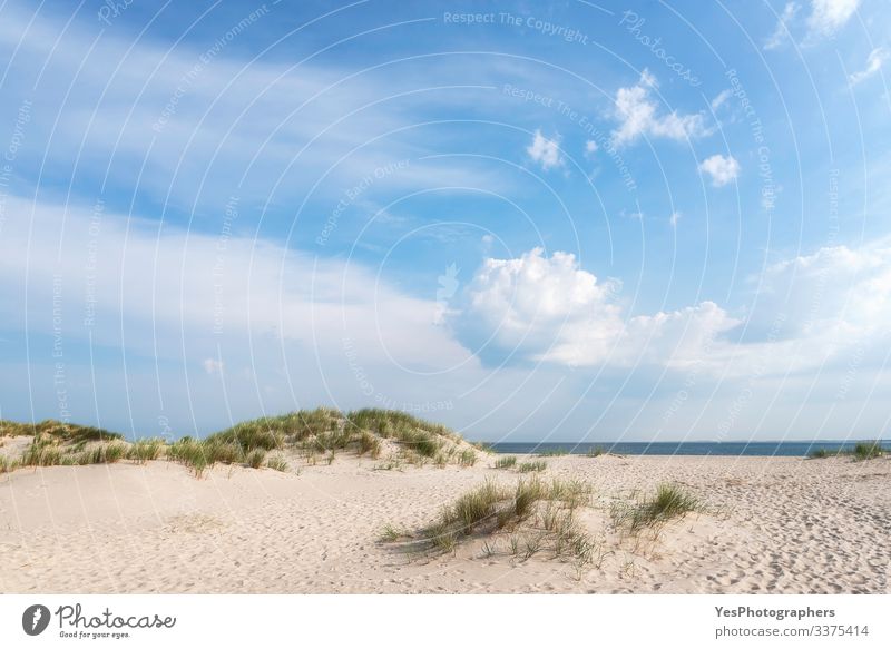 White sand beach landscape on a summer day on Sylt island Relaxation Summer Sand Beautiful weather Coast North Sea Blue Frisian island German beach Germany