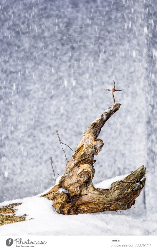 Two mountaineers climb a summit with a summit cross in heavy snowfall. There is no room at the summit cross. Strong together Prospect of success stylized