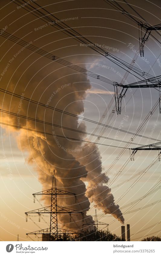 Dad, how do the clouds get in the sky? Industry Energy industry Advancement Future Coal power station Environment Sky Clouds Sunrise Sunset Summer