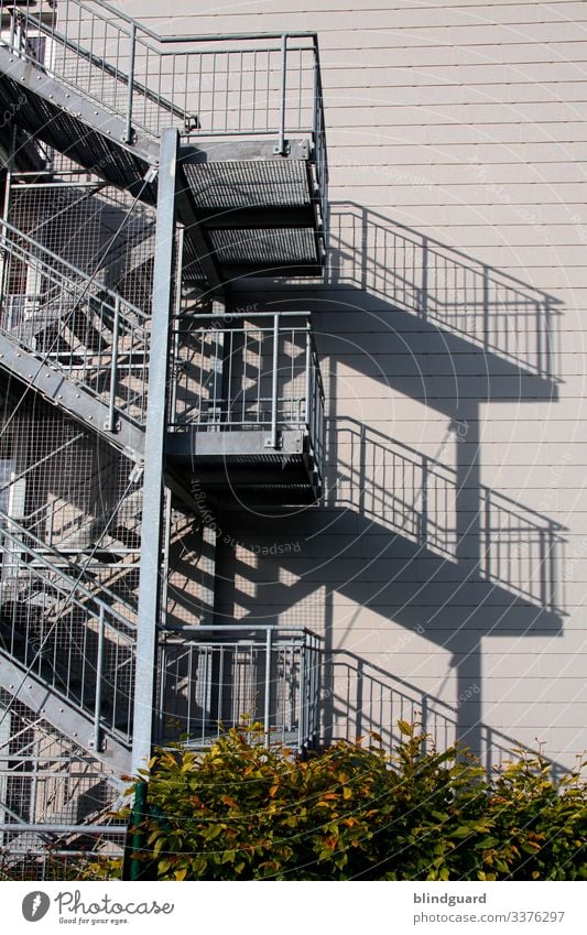 Lines and Shadows House (Residential Structure) Nature Bushes High-rise Building Architecture Wall (barrier) Wall (building) Stairs Facade Stone Concrete Metal