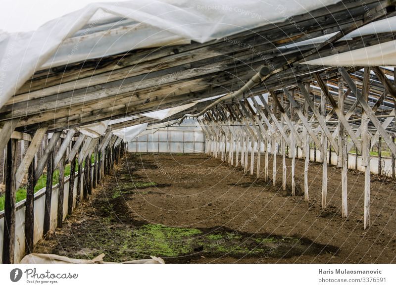 Abandoned wooden plastic greenhouse Food Eating Agriculture Forestry Industry Responsibility Greenhouse Wood Plastic Colour photo Exterior shot Morning Day