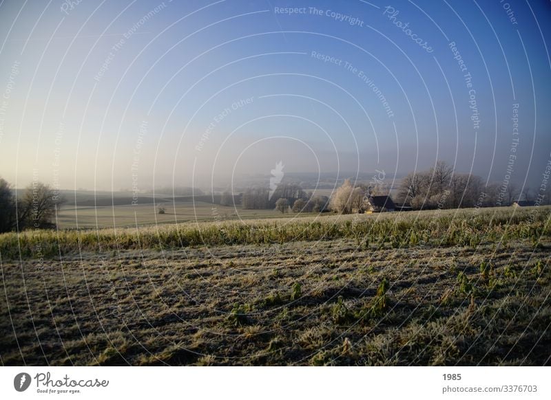 winter landscape Fog Frost Winter chill Exterior shot Hoar frost Colour photo Nature Frozen Freeze Deserted Winter mood Winter's day Environment Ice icily