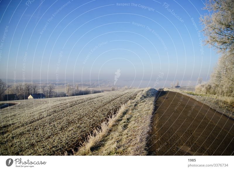 winter landscape Lanes & trails Street Sky Field Landscape Deserted Colour photo Environment Copy Space top Beautiful weather Exterior shot Nature Horizon