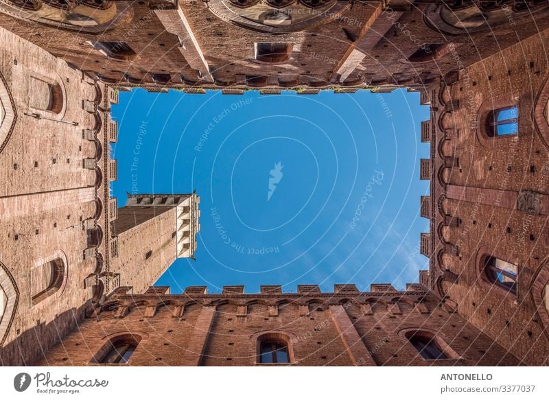 Postage stamp inside the Palazzo Comunale in Siena Vacation & Travel Tourism Summer Art Architecture Sky Cloudless sky Spring Beautiful weather Small Town