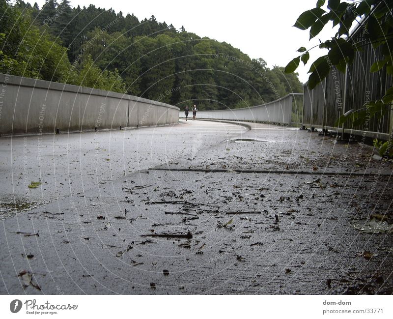 dam Wall (barrier)