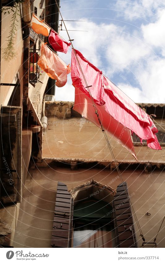 Venice colored laundry Vacation & Travel Tourism City trip Summer vacation Living or residing House (Residential Structure) Clouds Weather Beautiful weather