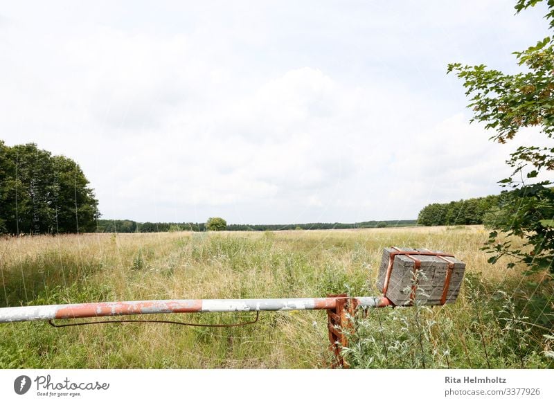 summer pasture Vacation & Travel Far-off places Freedom Summer Agriculture Forestry Environment Nature Sky Grass Agricultural crop Meadow Field Control barrier