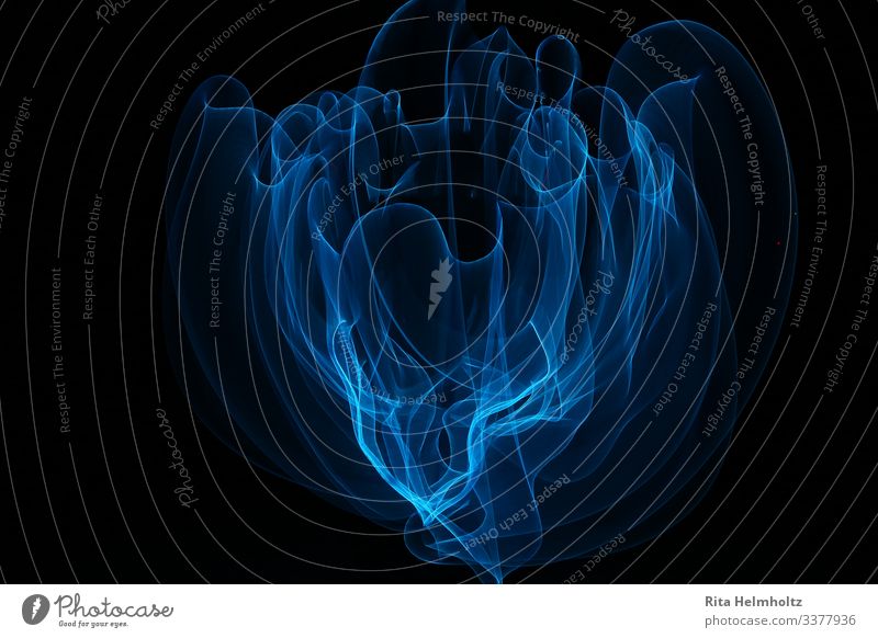 Delicate veil (LightPainting) Smoke Touch Movement Illuminate Draw Smoking Dance Dream Exceptional Fantastic Beautiful Uniqueness Wild Soft Blue Black Power