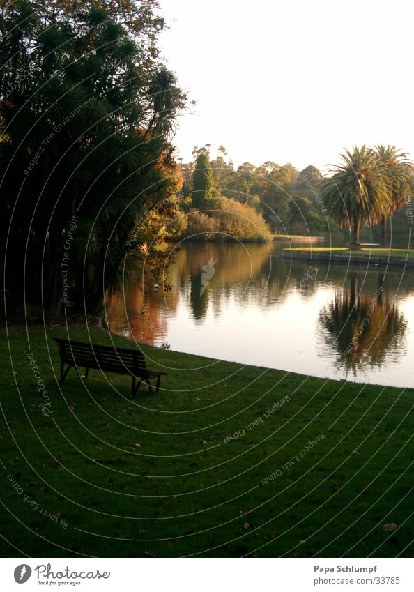 Botanical Garden Melbourne Green Lake Australia Bench Nature Park