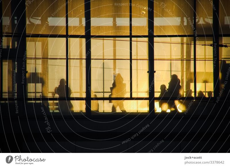 Alexanderplatz station, behind the glass front in the evening sun Train station travelers Silhouette Back-light Shadow Wait Low-key Sunlight Evening