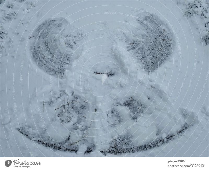 Photo of a snow angel on a path Winter Christmas & Advent Nature Vacation & Travel tree road covered snowcapped landscape Germany Frost frozen holiday idyllic