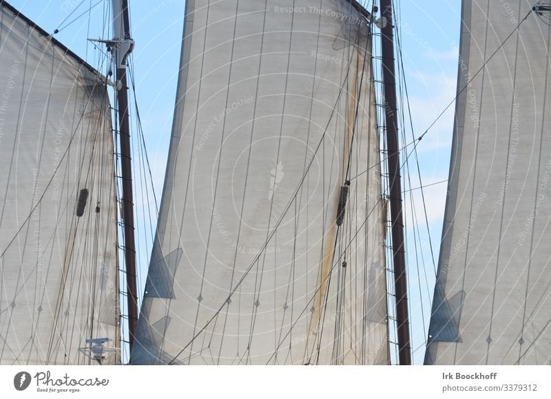 Sails in front of a blue summer sky Vacation & Travel Adventure Summer Sailing Sailboat Sailing ship Watercraft Rope Movement Dream Esthetic