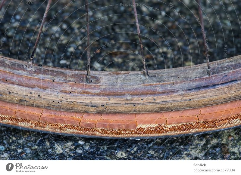 Old wooden bicycle rim with wooden worm holes close-up Wood Metal Plastic Decline Transience Wheel rim Detail Rubber Wormhole Vintage Spokes bicycle spokes