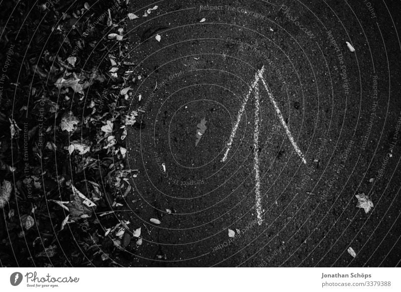 Arrow on forest path points upwards Abstract black background attentiveness Exterior shot reflection Chemnitz dark fashion Autumn Season foliage Minimal black