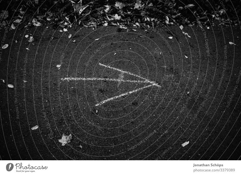 Arrow on forest path points to the right Abstract black background attentiveness Exterior shot reflection Chemnitz dark fashion Autumn Season foliage