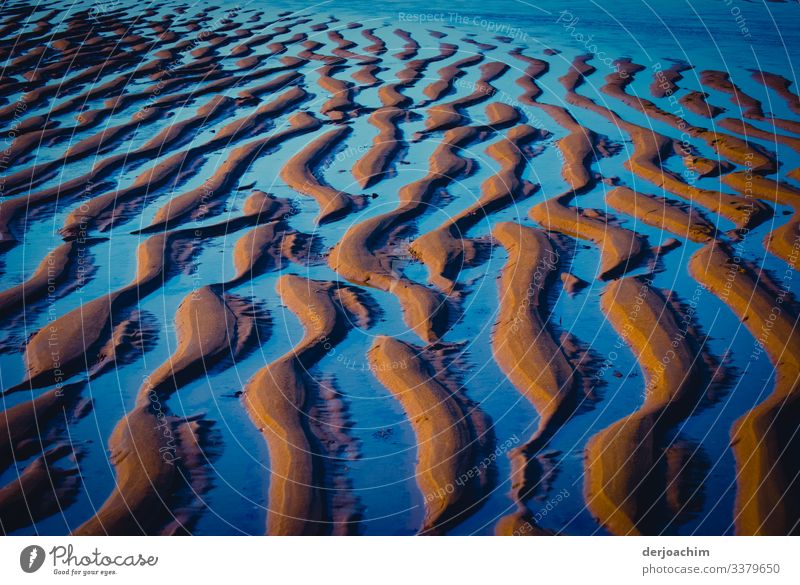 Wave pattern ( ripple mark ) is formed at low tide on the beach when the water runs off. Through the sunlight it appears in blue color. Waves Nature Ocean Water