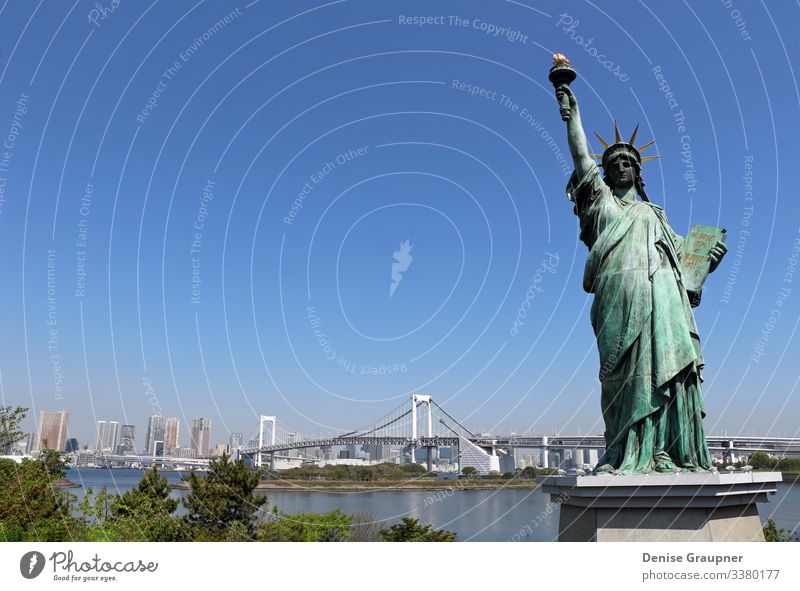 Statue of Liberty and the Rainbow Bridge in Odaiba, Tokyo Vacation & Travel Tourism Far-off places Freedom Sightseeing City trip Summer Human being